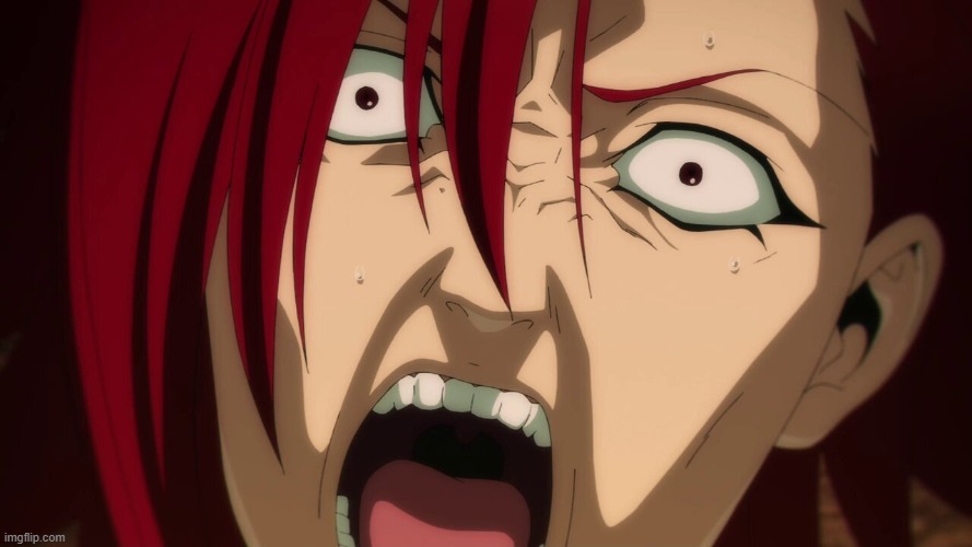ariel screaming | image tagged in ariel screaming,screaming,princess ariel,the little mermaid,anime,noooooooooooooooooooooooo | made w/ Imgflip meme maker