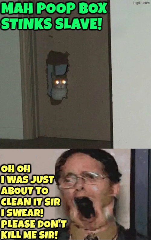 Mah Poop Box Stinks | Mah poop box stinks slave! Oh oh I was just about to clean it sir I swear! Please don't kill me sir! | image tagged in cats,kill you cat,funny cats,evil overlord rules,so you have chosen death,reactions | made w/ Imgflip meme maker