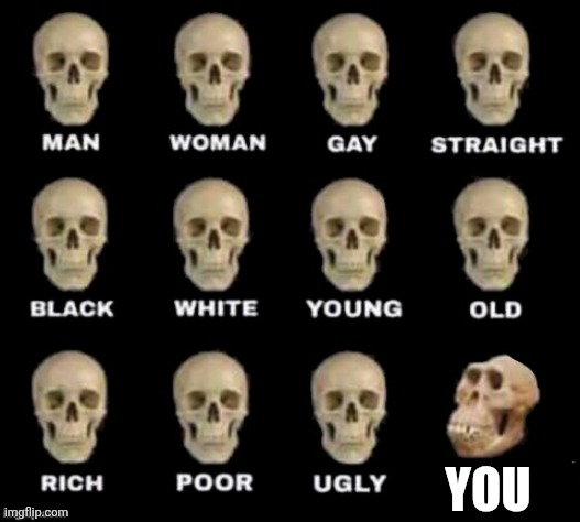 idiot skull | You | image tagged in idiot skull | made w/ Imgflip meme maker