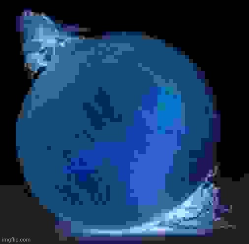 Onion | image tagged in onion | made w/ Imgflip meme maker
