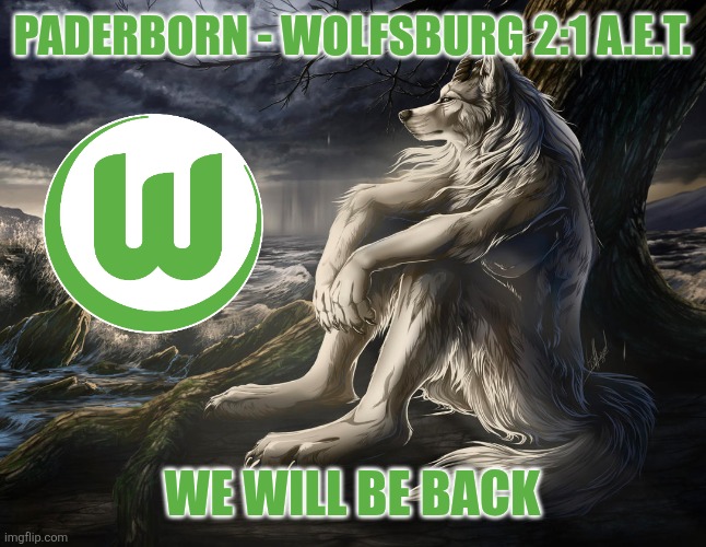 Wolfsburg were 2008/09 German Bundesliga winners and now they're playing zweite... what a damn mess | Paderborn - Wolfsburg 2:1 a.e.t. we will be back | image tagged in sad wolf,wolfsburg,bundesliga,relegation,sad,memes | made w/ Imgflip meme maker