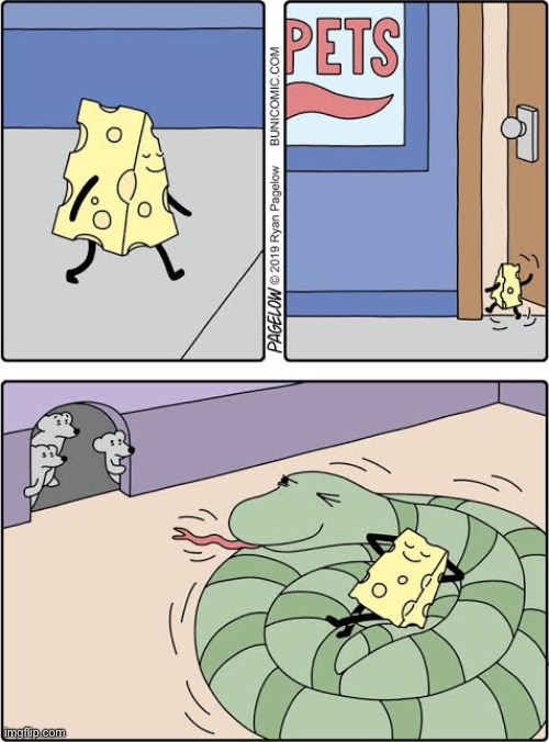He’s protected now | image tagged in comics,buni comics,cheese,pet store,mice,snake | made w/ Imgflip meme maker