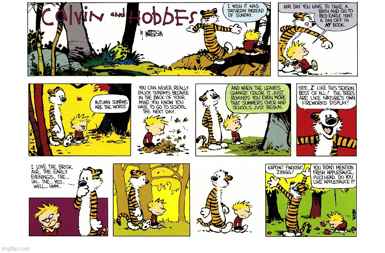 IMG_4257.jpeg | image tagged in calvin and hobbes,comics | made w/ Imgflip meme maker