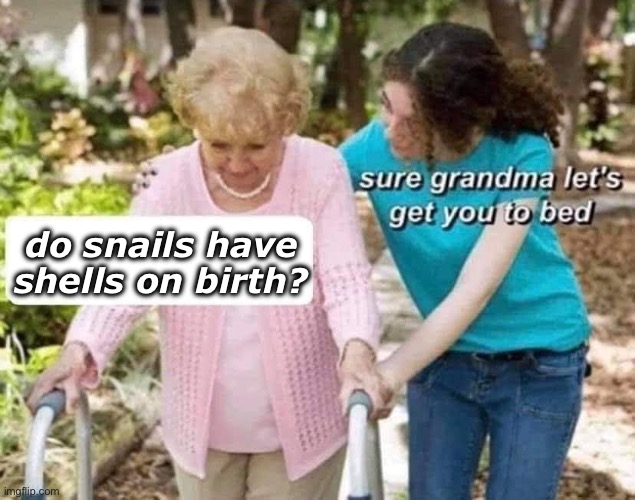 do they? | do snails have shells on birth? | image tagged in sure grandma | made w/ Imgflip meme maker
