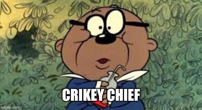penfold | Crikey chief | image tagged in penfold | made w/ Imgflip meme maker