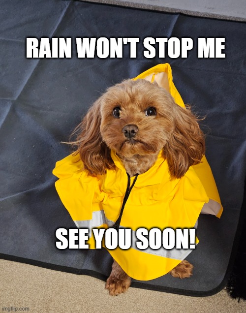 Rain won't stop me. See you soon! | rain won'T stop me; see YOU SOON! | image tagged in 20260520_165452 jpg | made w/ Imgflip meme maker