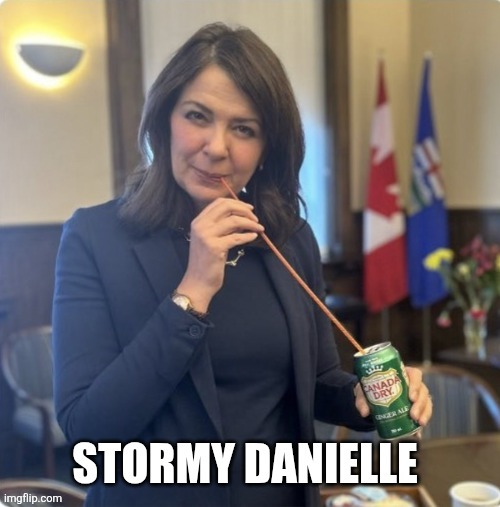 Canadian politics | image tagged in political meme | made w/ Imgflip meme maker