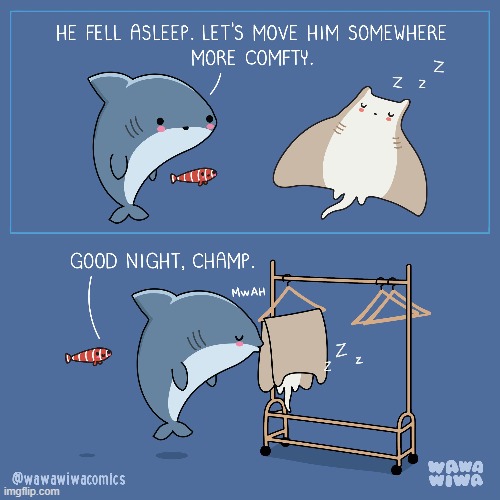 image tagged in shark,fish,manta ray,sleeping,clothes,hanger | made w/ Imgflip meme maker