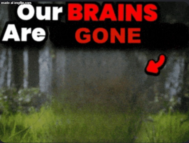 Our brains are GONE | image tagged in our brains are gone | made w/ Imgflip meme maker