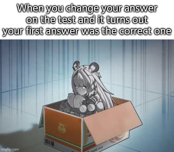 We all make that mistake. So it's painfully normal. | When you change your answer on the test and it turns out your first answer was the correct one | image tagged in test,answer,relatable,memes | made w/ Imgflip meme maker