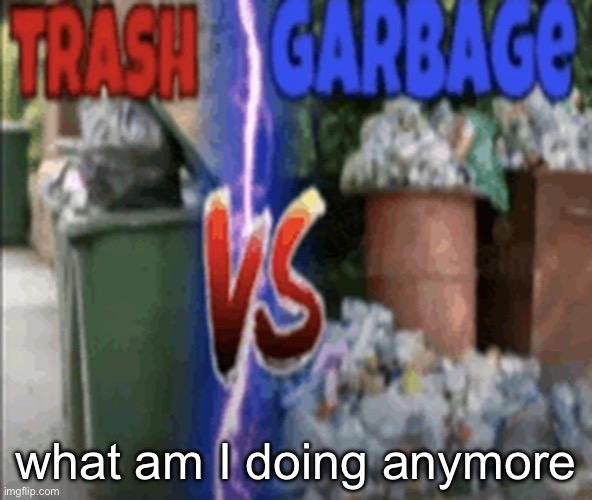 TRASH vs GARBAGE | what am I doing anymore | image tagged in trash vs garbage | made w/ Imgflip meme maker