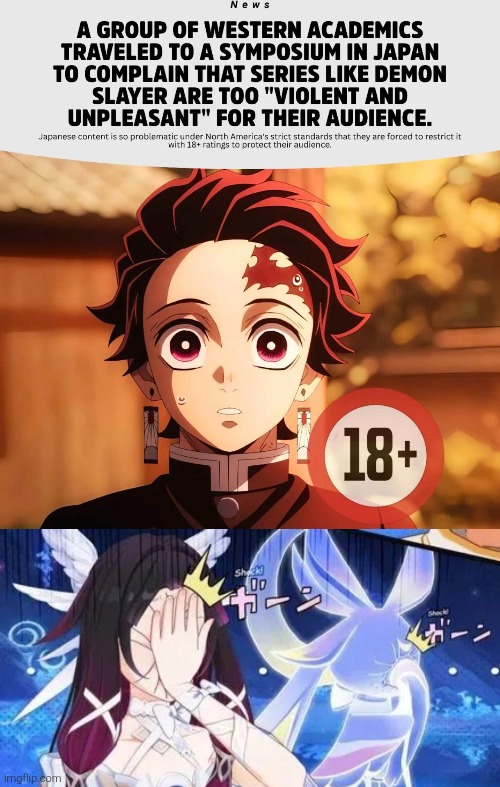 We are truly surrounded by idiots. | image tagged in demon slayer,western | made w/ Imgflip meme maker