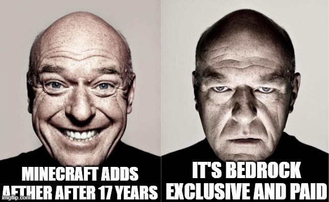 this aether is a deception | minecraft adds aether after 17 years; it's bedrock exclusive and paid | image tagged in hank,minecraft,memes | made w/ Imgflip meme maker