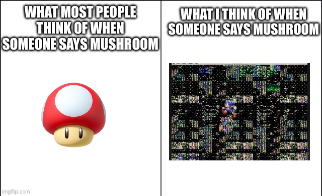 Mushroom Valley Zone | What I think of when someone says Mushroom; What most people think of when someone says Mushroom | image tagged in side-by-side panels,mushrooms,sonic 3,sonic the hedgehog,mushroom hill zone,mushroom valley zone | made w/ Imgflip meme maker