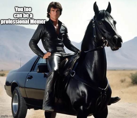 You too can be a professional Memer | made w/ Imgflip meme maker