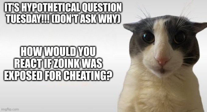 Don't question the Tuesday | It's Hypothetical Question Tuesday!!! (Don't ask why); How would you react if Zoink was exposed for cheating? | image tagged in we might have lost | made w/ Imgflip meme maker