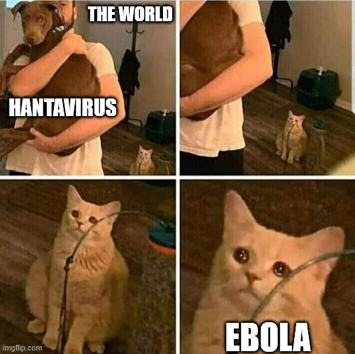 The world pays too much attention to just one of them | The World; Hantavirus; Ebola | image tagged in sad cat holding dog,sickness,virus,health | made w/ Imgflip meme maker