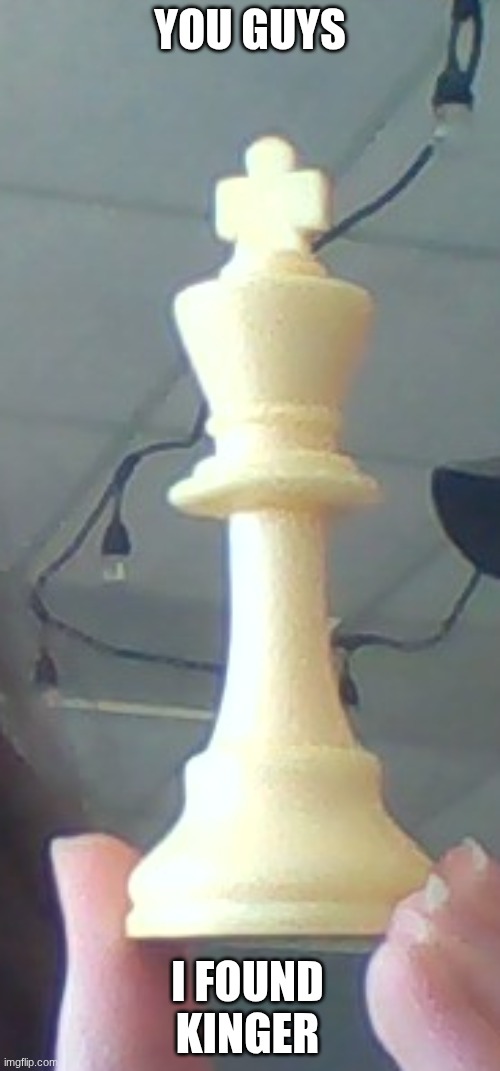 Its Kinger! | You guys; I found Kinger | image tagged in img_20260526_101155 jpg,tadc | made w/ Imgflip meme maker