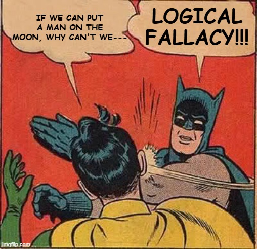 Batman Slapping Robin | if we can put a man on the moon, why can't we---; logical fallacy!!! | image tagged in memes,batman slapping robin,man on the moon,logical fallacy | made w/ Imgflip meme maker