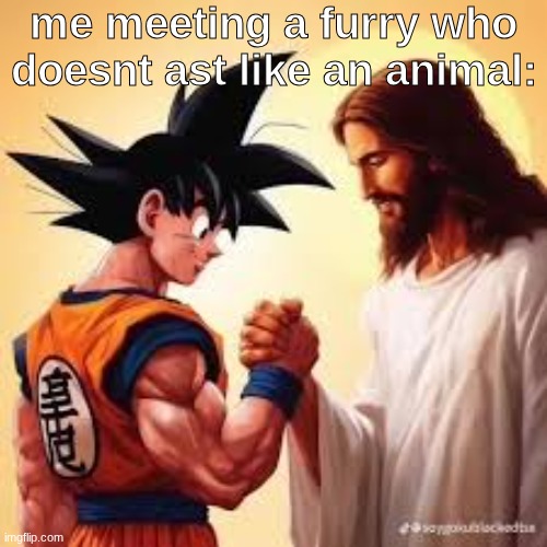 furries are alright as long as they act like a human | me meeting a furry who doesnt ast like an animal: | image tagged in goku shaking hands with jesus | made w/ Imgflip meme maker