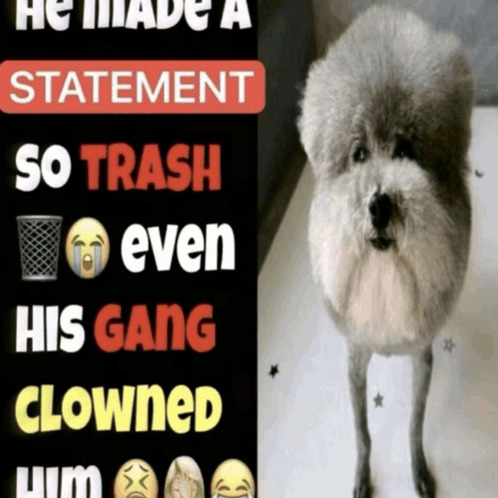 High Quality Statement Dog Blank Meme Template