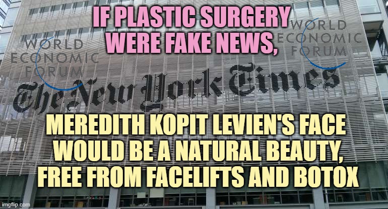 TRUTH in the Media 2024 Roundtable in DAVOS for WEF / The Fourth Estate for C4IR Trustworthiness in Tech | If Plastic surgery
were fake news, meredith kopit levien's face 
would be a natural beauty,
free from facelifts and botox | image tagged in ny times,switzerland,biased media,globalism,blackrock,nestle | made w/ Imgflip meme maker