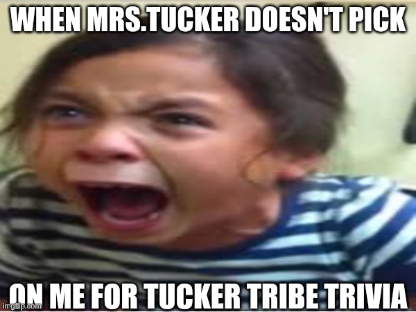 When your teacher does not call on you | When Mrs.Tucker doesn't pick; on me for tucker tribe trivia | image tagged in shouting | made w/ Imgflip meme maker