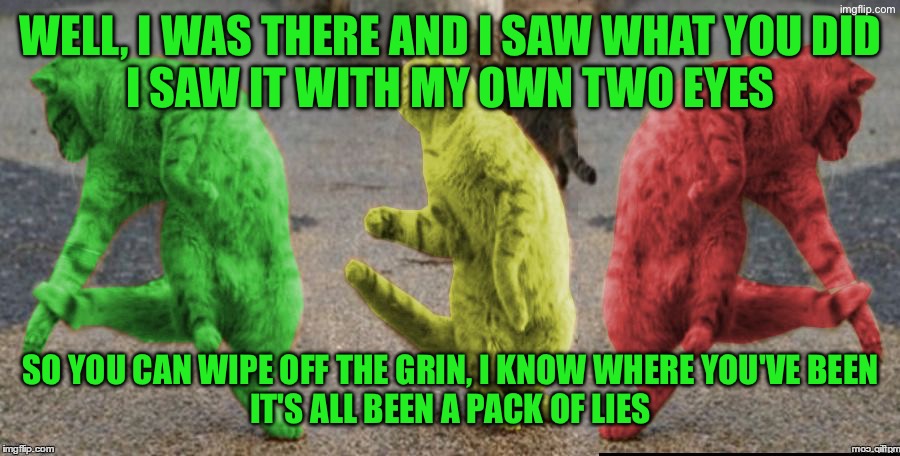 Three Dancing RayCats | Well, I was there and I saw what you did
I saw it with my own two eyes; So you can wipe off the grin, I know where you've been
It's all been a pack of lies | image tagged in three dancing raycats | made w/ Imgflip meme maker
