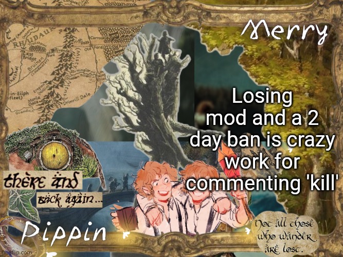Test, idc its just ridiculous | Losing mod and a 2 day ban is crazy work for commenting 'kill' | image tagged in merry and pippin shared temp | made w/ Imgflip meme maker