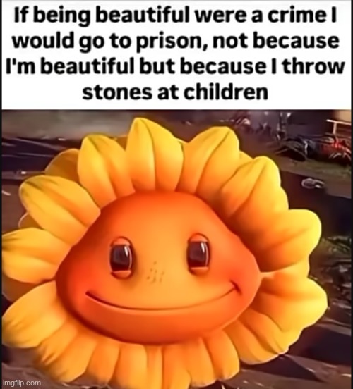 meme I "borrowed" from youtube | image tagged in screenshot 2026-05-26 8 18 20 am png | made w/ Imgflip meme maker