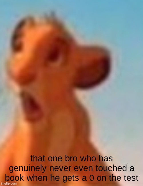 clever title | that one bro who has genuinely never even touched a book when he gets a 0 on the test | image tagged in screenshot 2026-05-19 2 19 37 pm png | made w/ Imgflip meme maker