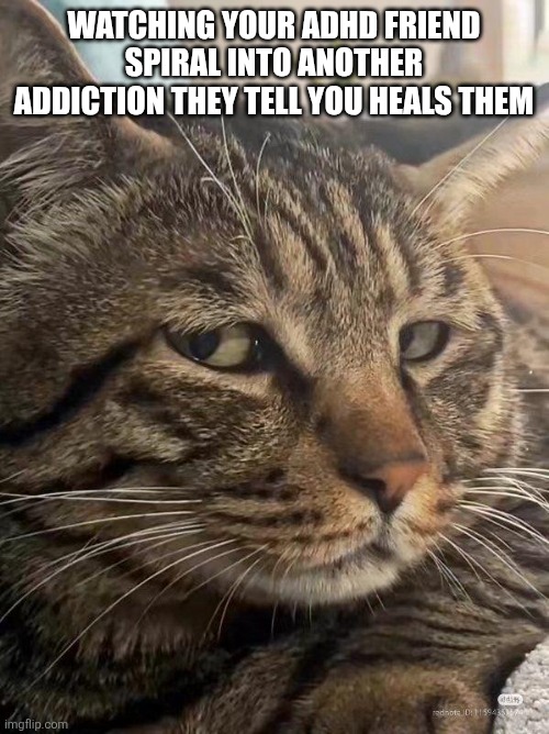 Side eye meow | Watching your adhd friend spiral into another addiction they tell you heals them | image tagged in side eye meow | made w/ Imgflip meme maker