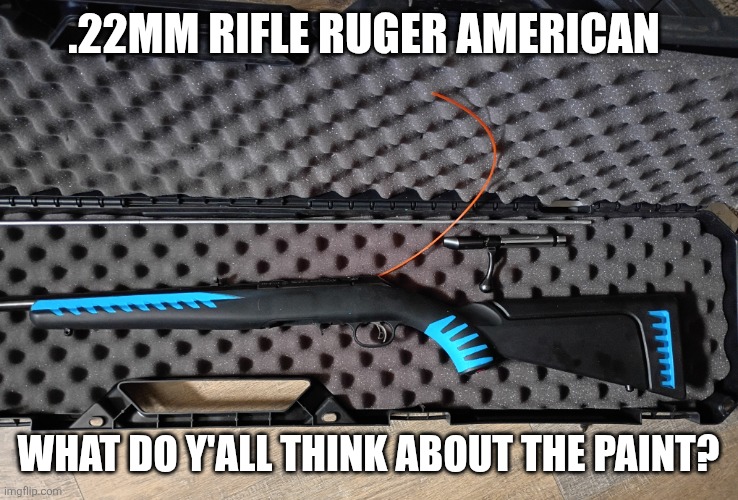 I love guns (downvote for gun control laws) | .22mm rifle ruger American; What do y'all think about the paint? | image tagged in img_20260525_113334211_hdr jpg | made w/ Imgflip meme maker