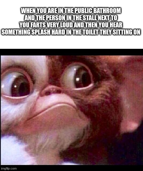 Loud fart and solid plop by just someone else, not you. | when you are in the public bathroom and the person in the stall next to you farts very loud and then you hear something splash hard in the toilet they sitting on | image tagged in gizmo,public restrooms,fart,loud,splash,plop | made w/ Imgflip meme maker
