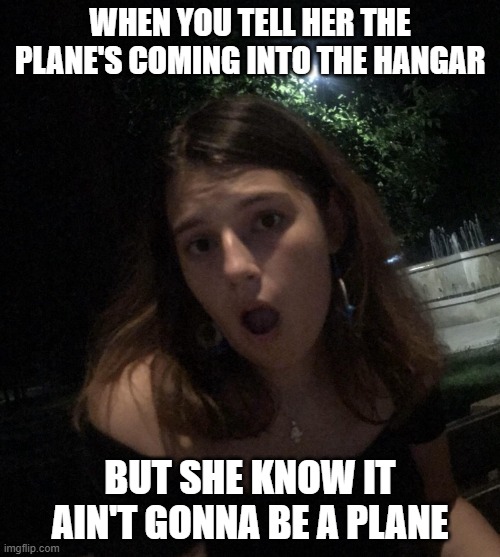 Open Mouth Insert | When you tell her the plane's coming into the hangar; but she know it ain't gonna be a plane | image tagged in sex jokes | made w/ Imgflip meme maker