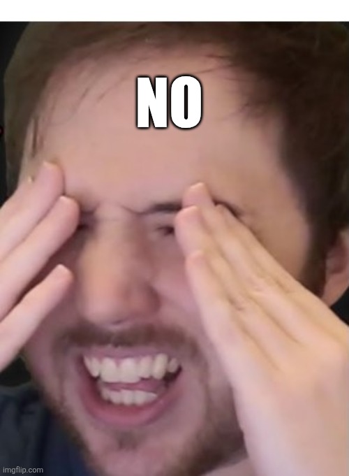 Disgusted Noble | No | image tagged in disgusted noble | made w/ Imgflip meme maker