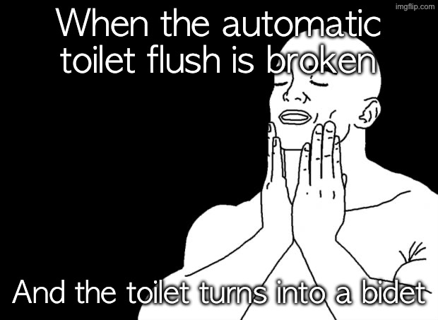 Smooth Face | When the automatic toilet flush is broken; And the toilet turns into a bidet | image tagged in smooth face | made w/ Imgflip meme maker