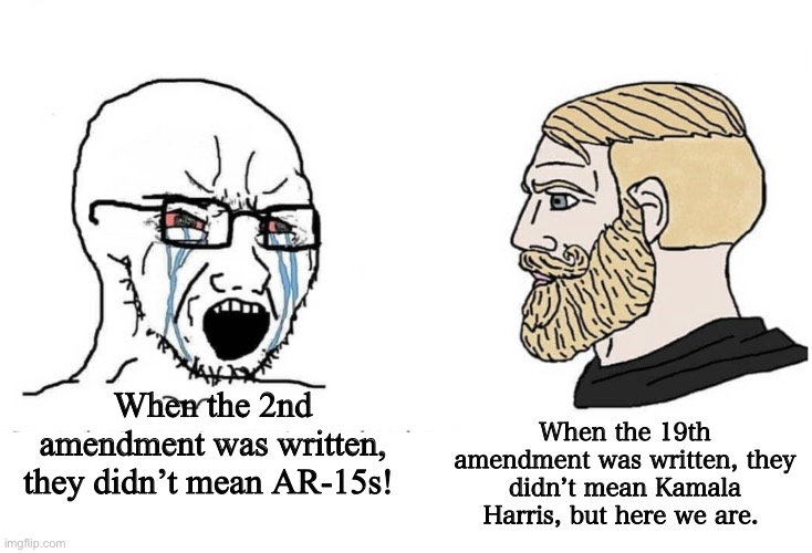 Traumatize ‘em back | When the 2nd amendment was written, they didn’t mean AR-15s! When the 19th amendment was written, they didn’t mean Kamala Harris, but here we are. | image tagged in 2nd amendment,memes,constitution | made w/ Imgflip meme maker