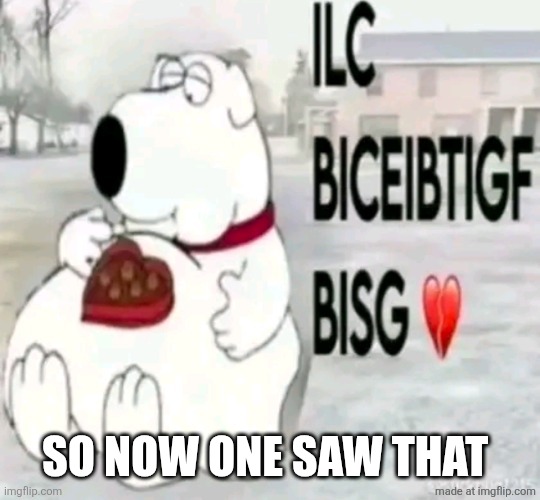 ilcbiceibtigfbisg | so now one saw that | image tagged in ilcbiceibtigfbisg | made w/ Imgflip meme maker