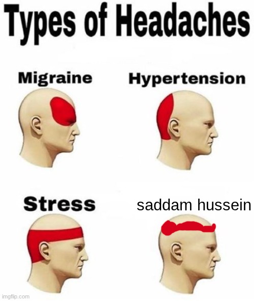 Types of headaches (cleared) | saddam hussein | image tagged in types of headaches cleared | made w/ Imgflip meme maker