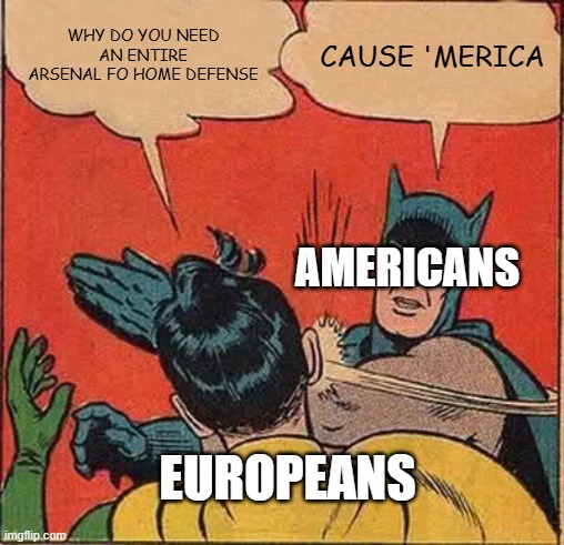 Batman Slapping Robin Meme | why do you need an entire arsenal fo home defense; Cause 'merica; americans; Europeans | image tagged in memes,batman slapping robin | made w/ Imgflip meme maker