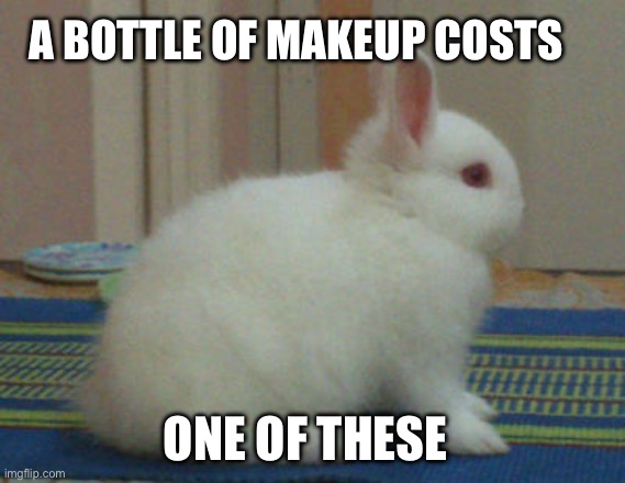 A bottle of makeup costs; One of these | made w/ Imgflip meme maker