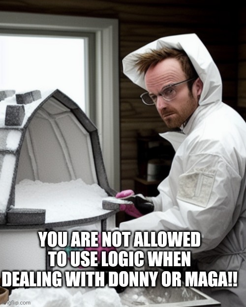 You are not allowed to use logic when dealing with Donny or MAGA!! | image tagged in snowcones | made w/ Imgflip meme maker