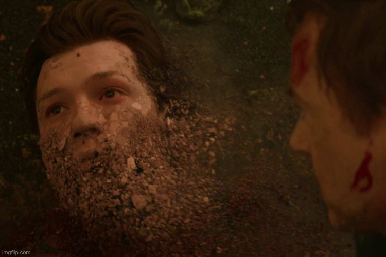 Peter Parker Dust | image tagged in peter parker dust | made w/ Imgflip meme maker