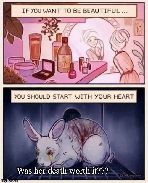Crash test dummies are for experiments, animals are not | Was her death worth it??? | image tagged in memes | made w/ Imgflip meme maker
