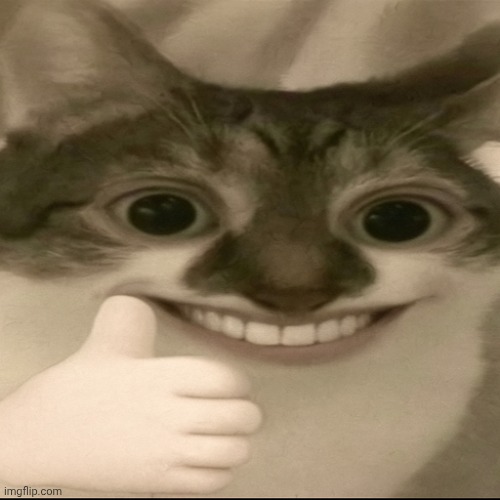 image tagged in bombastic side eye cat v3 | made w/ Imgflip meme maker