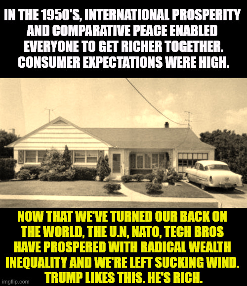America. We used to be somebody, before Trump. | In the 1950's, international prosperity 
and comparative peace enabled 
everyone to get richer together.
Consumer expectations were high. Now that we've turned our back on 
the world, the U.N, NATO, tech bros 
have prospered with radical wealth 
inequality and we're left sucking wind. 
Trump likes this. He's rich. | image tagged in 1950s suburb,1950's,wealth,income inequality,trump,tax cuts for the rich | made w/ Imgflip meme maker