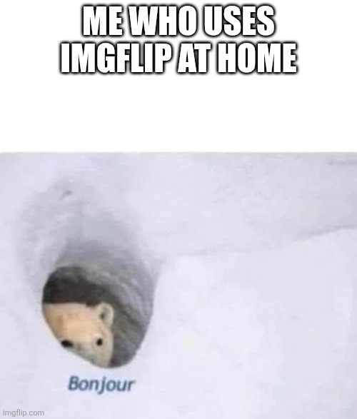Bonjour | me who uses imgflip at home | image tagged in bonjour | made w/ Imgflip meme maker