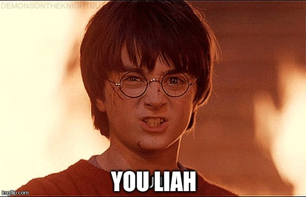 You liar clip Harry Potter | you liah | image tagged in you liar clip harry potter | made w/ Imgflip meme maker