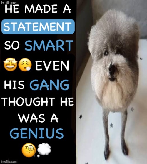 image tagged in msmg | made w/ Imgflip meme maker